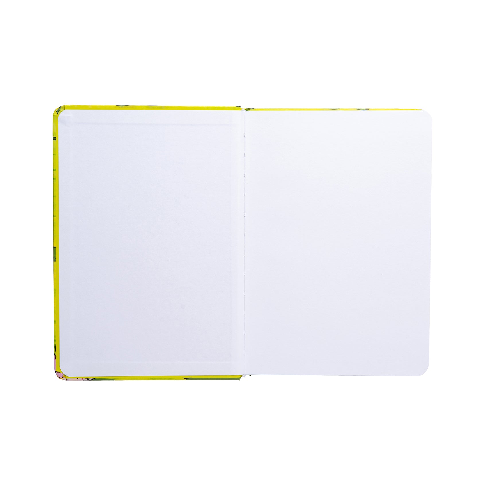 Birth of Echoes Sketchbook