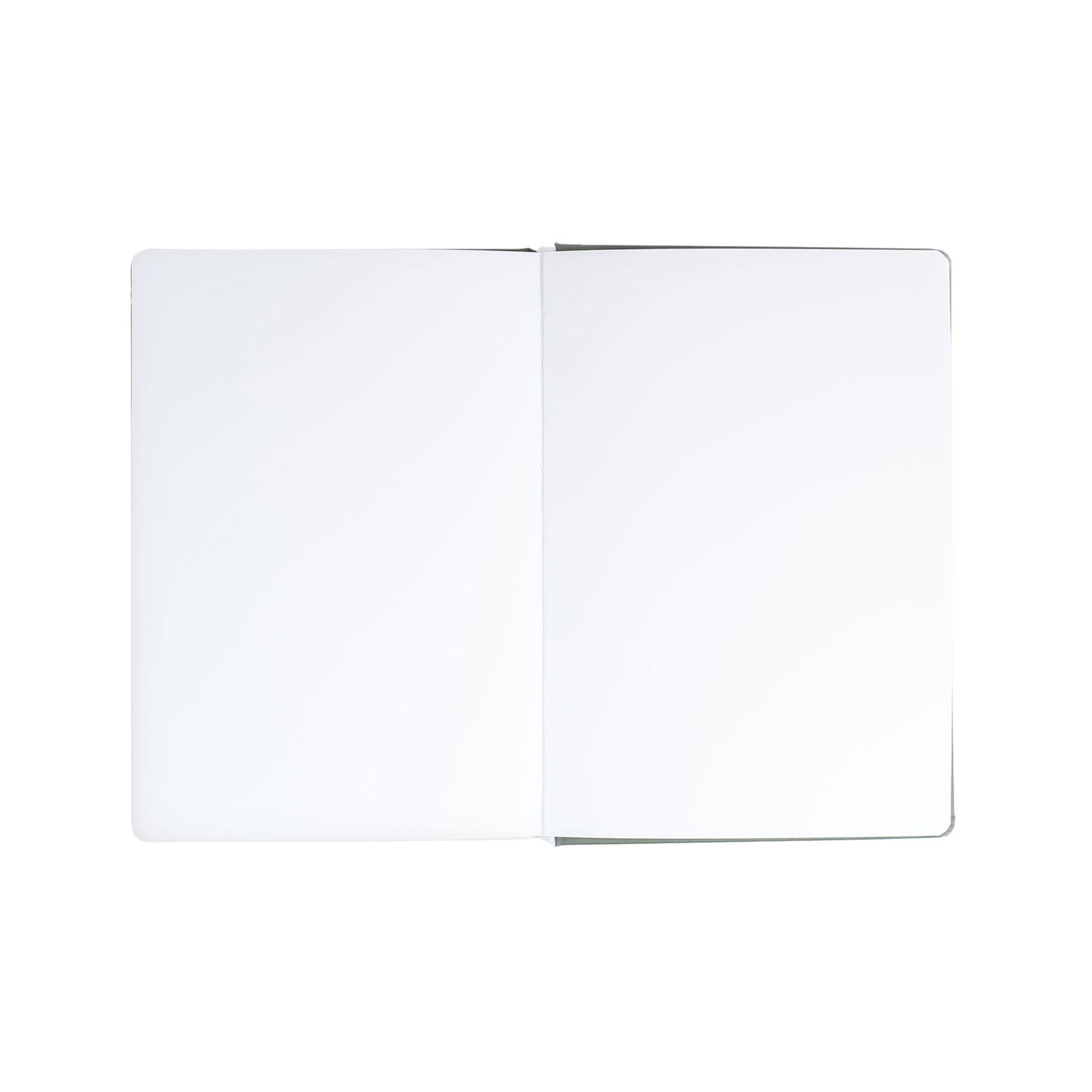 Cela Sketchbook